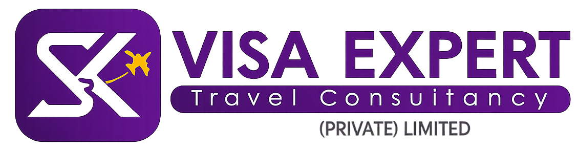 SK Visa Expert horizontal logo png